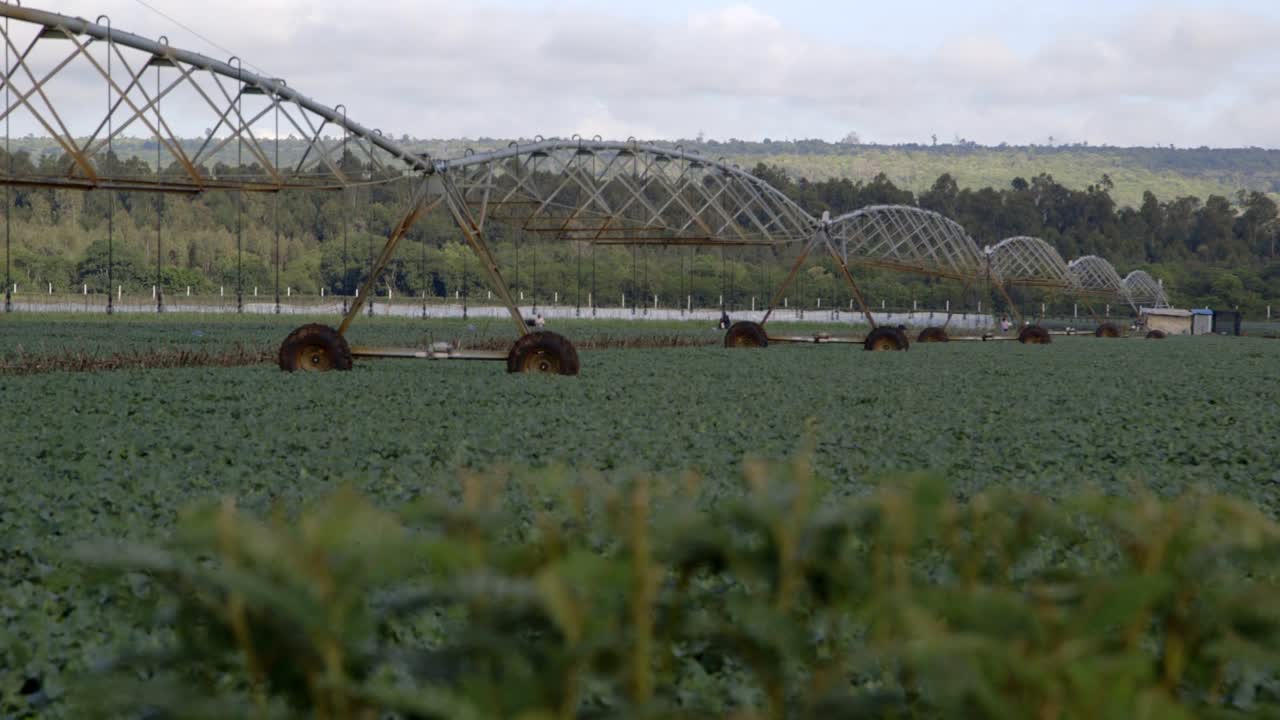 Irrigation system on broccoli field in Kenya
