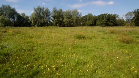 fotografía amplia de un prado junto al río en lyny junto al río wensum