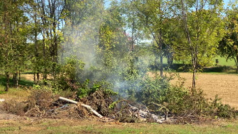 un incendio forestal quema un montón de ramas y basura