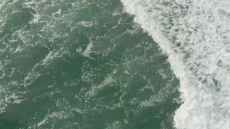 tomas aéreas de arriba hacia abajo de 4k de olas rompiendo en las playas de varkala en la mañana