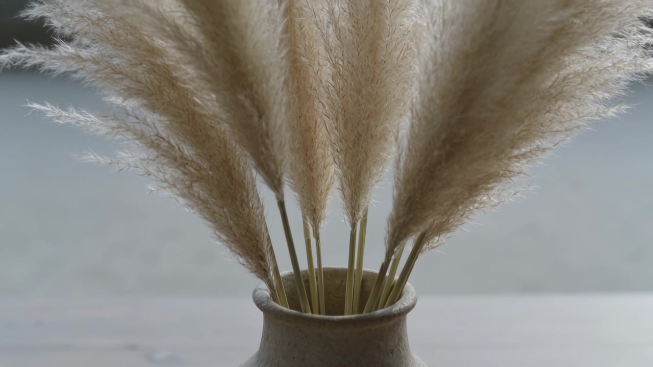 Tightening camera around ceramic vase with pampas grass on pale wooden shelf, showing plume detail