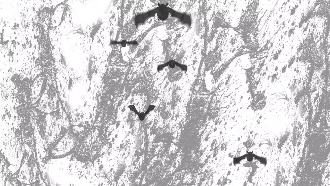 animación de los murciélagos espeluznantes de halloween volando sobre un fondo en movimiento blanco y gris
