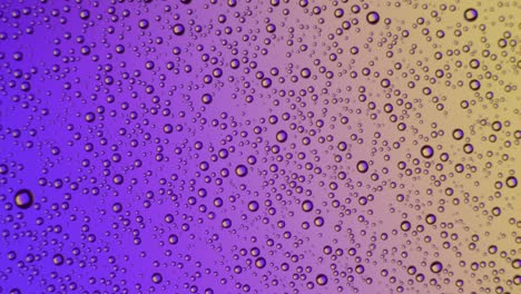 water drops on glass surface on purple and yellow