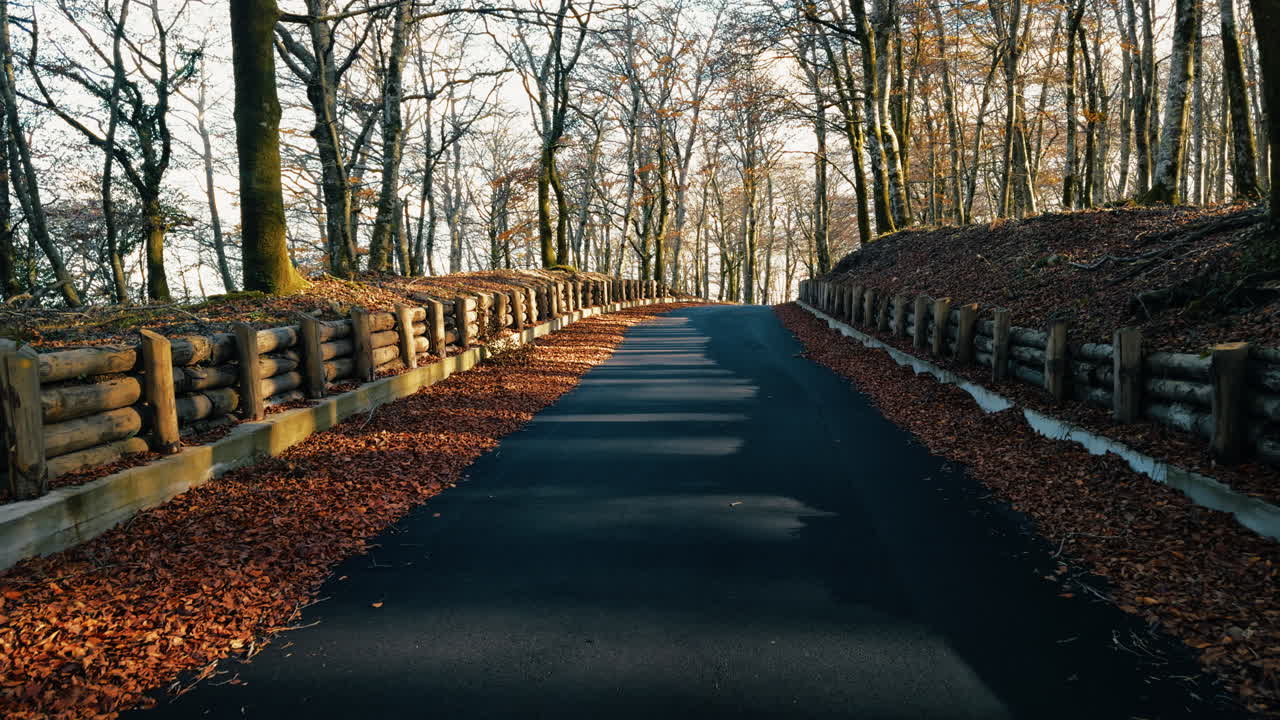 Mountain Road Leading to the Pass in Autumn with Orange Leaves on the Sides