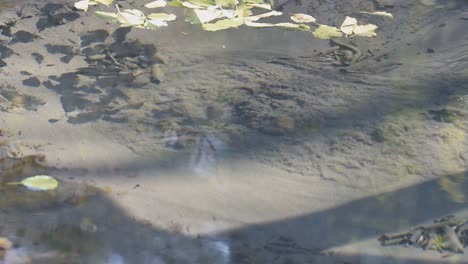 closeup view of underground spring