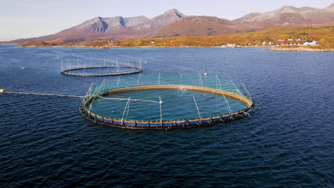 Acuicultura-De-Salmón-En-Noruega---Vista-Aérea-De-Jaulas-De-Pescado-Redondas-Para-La-Industria-Del-Salmón