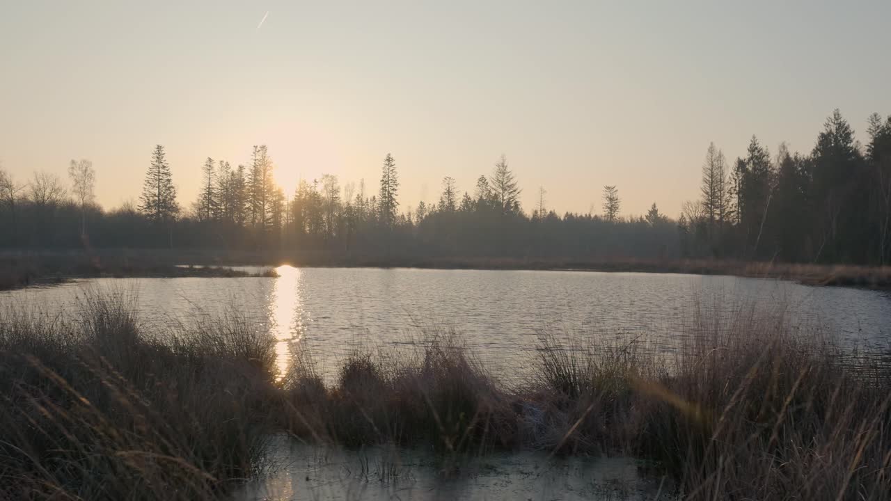 puesta de sol sobre un tranquilo lago pantanoso