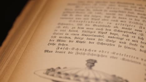 old fashioned german cookbook and its foods descriptions