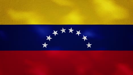 venezuelan dense flag fabric wavers, background loop