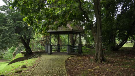 forest trail leading to an isolated pavilion