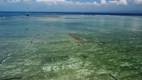 fly-above-seaweed-farm-conservation-coastline,-aerial-low-shot