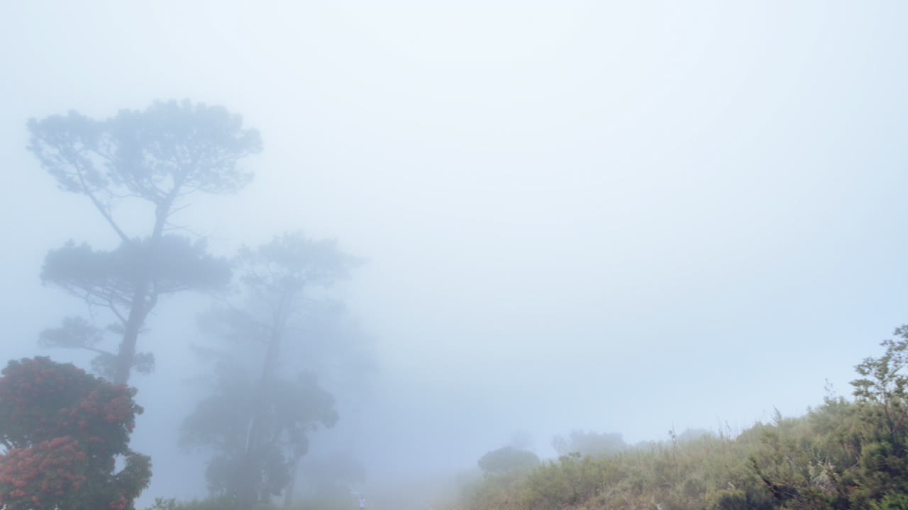 steadicam  ⁇ 으로 신발을  ⁇ 고 도로에서 달리는 여성