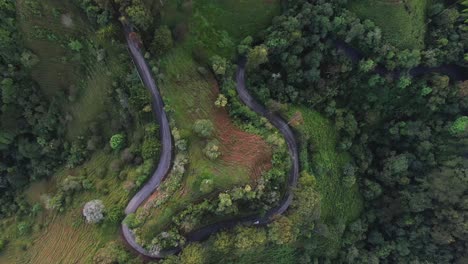 Vista-Aérea-De-La-Sinuosa-Carretera-De-Montaña-En-El-Bosque-Verde