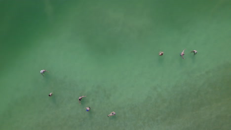 personas con psoriasis en el mar muerto - cámara lenta estática de arriba hacia abajo