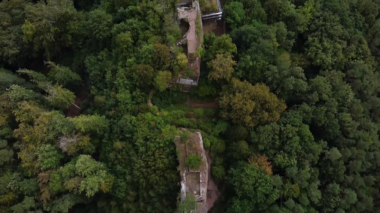 vista de pájaro de la ruina del castillo burg drachenfels cerca de busenberg en el bosque del palatinado, alemania, tiro aéreo de drones