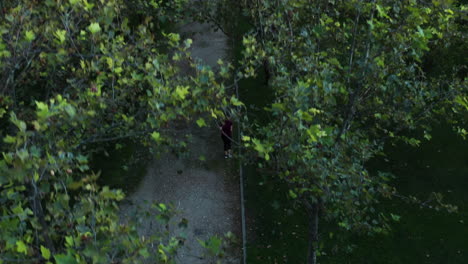 Birdseye-tilt-up-shot-of-a-woman-jogging-in-the-Tierno-Galván-Park-in-Spain