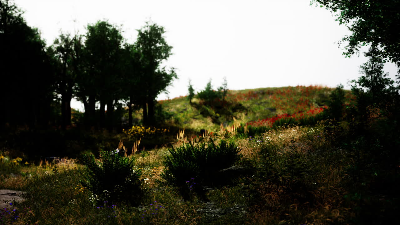 알프스 산맥 에 있는 신선 한 녹색 초원 과 꽃 이 피는 아름다운 풍경