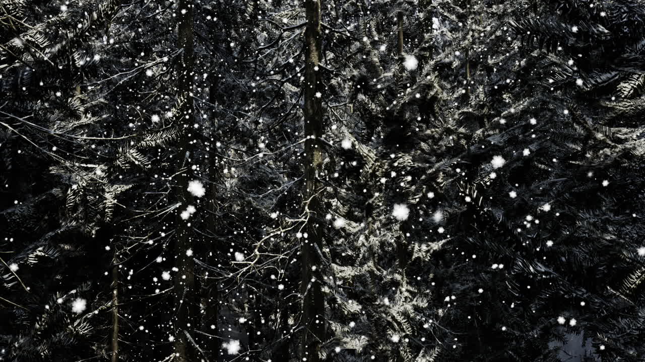 Snowflakes gently falling among dark evergreen trees in a winter forest