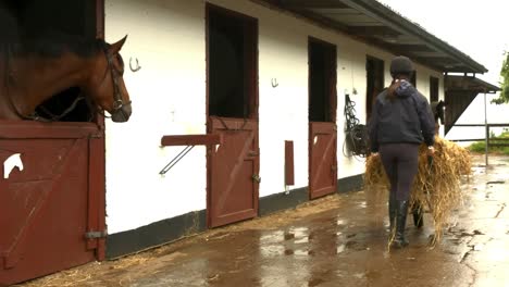 woman bringing hay to the stable