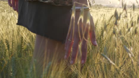 Closeup-of-female-hand-touching-dry-wheat-on-golden-field,-summertime,-handheld