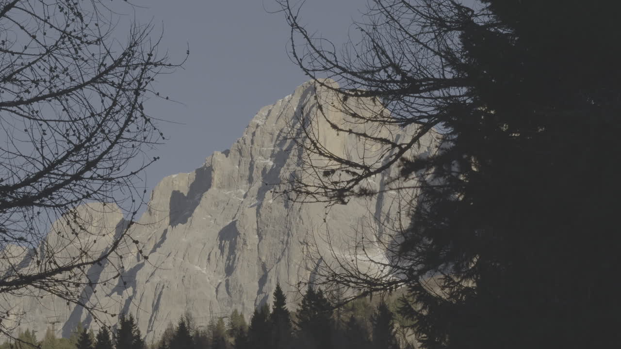 Mountain Peak with Trees in Foreground