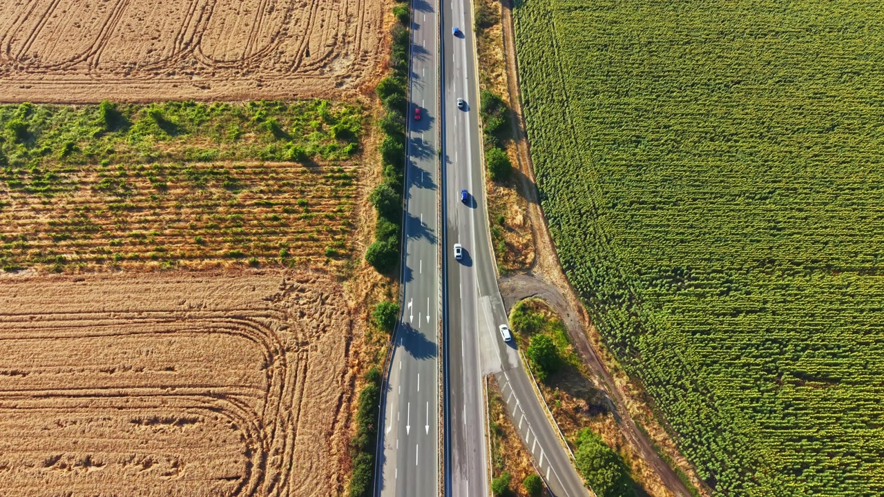 Coches circulando por una carretera sinuosa rodeada de campos de cultivo y plantas verdes durante un día soleado.