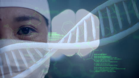 Animation of dna strand and data processing over asian female surgeon in hospital