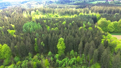 Drone-Vuela-Sobre-Bosques-Y-Campos-En-Verano-4k