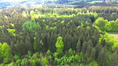 aviones no tripulados vuelan sobre bosques y campos en verano 4k
