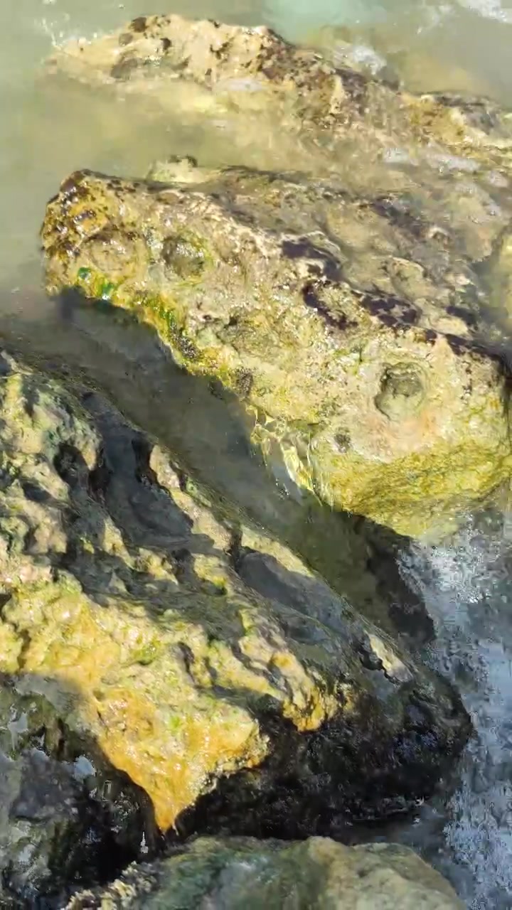 Acqua limpida dell'oceano che lambisce rocce muschiose sulla riva