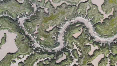 top down aerial footage of salt marsh estuary at low tide revealing dragon