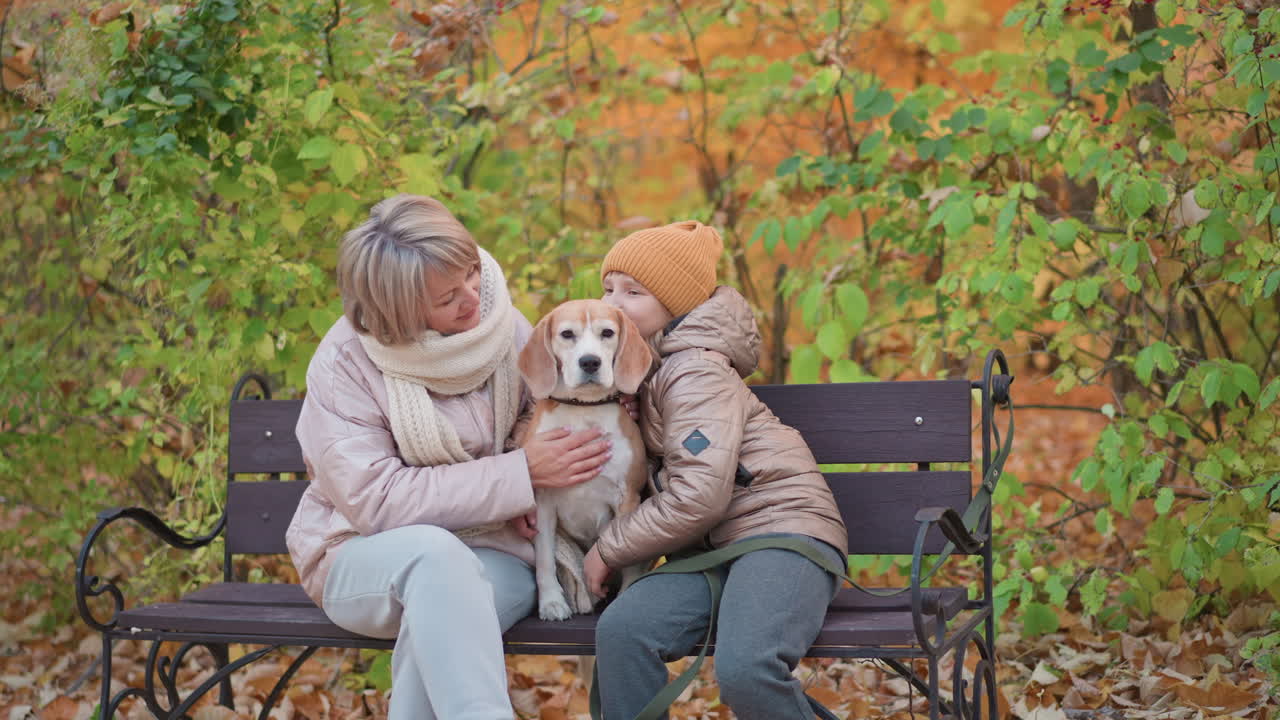 mom and kid on bench rubbing back of dog and holding warmly, autumn leaves carpet ground, jackets and scarves visible, beagle nestled between them, serene family bond in woodland park setting