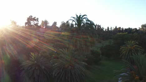 Drone-shot-starts-with-view-of-parking-lot-and-cars-driving-down-road-panning-left-with-sun-flare-of-palm-trees-during-golden-sunset-hour-with-clear-blue-sky-in-Los-Angeles,-California-park