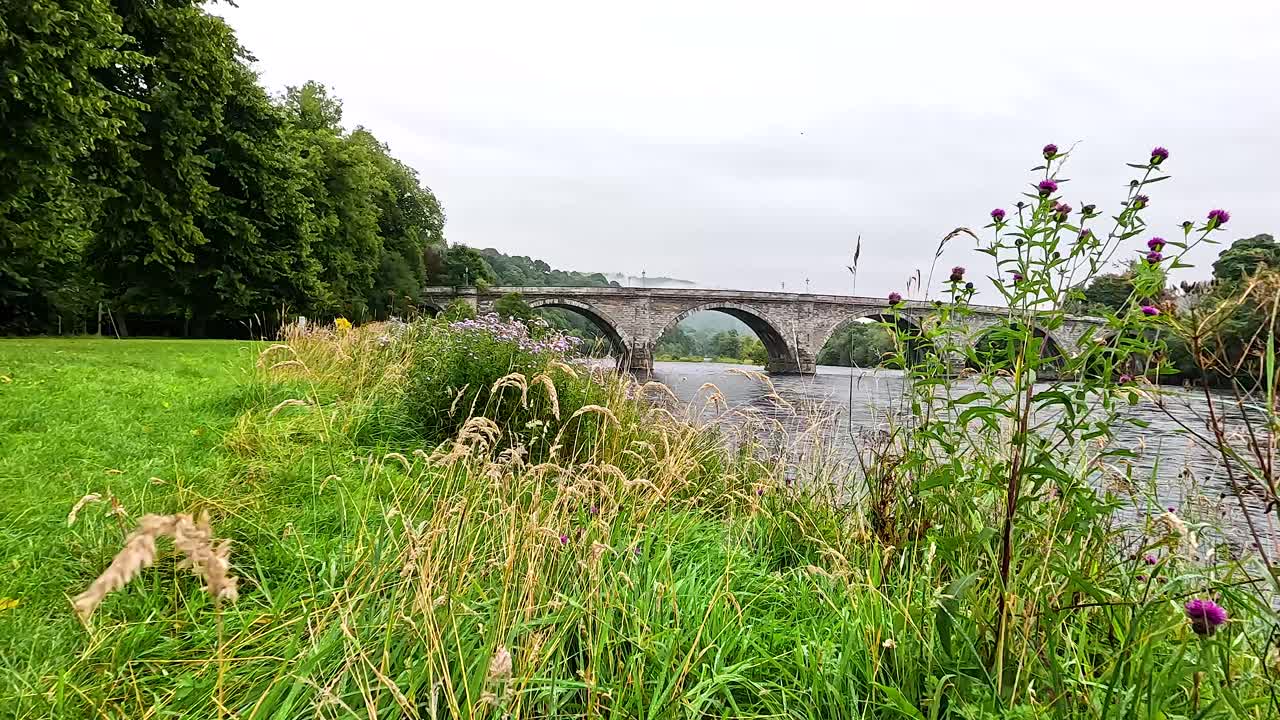 강, 다리, 초록색 이 있는 자연 장면