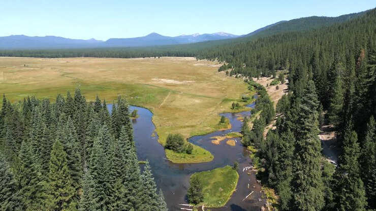 Bellissimo fiume per kayak nell'Oregon meridionale con un sole splendente, visto dall'alto