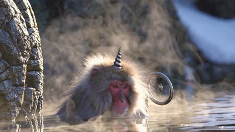 Snow Monkey in a Hot Spring with a Unicorn Horn