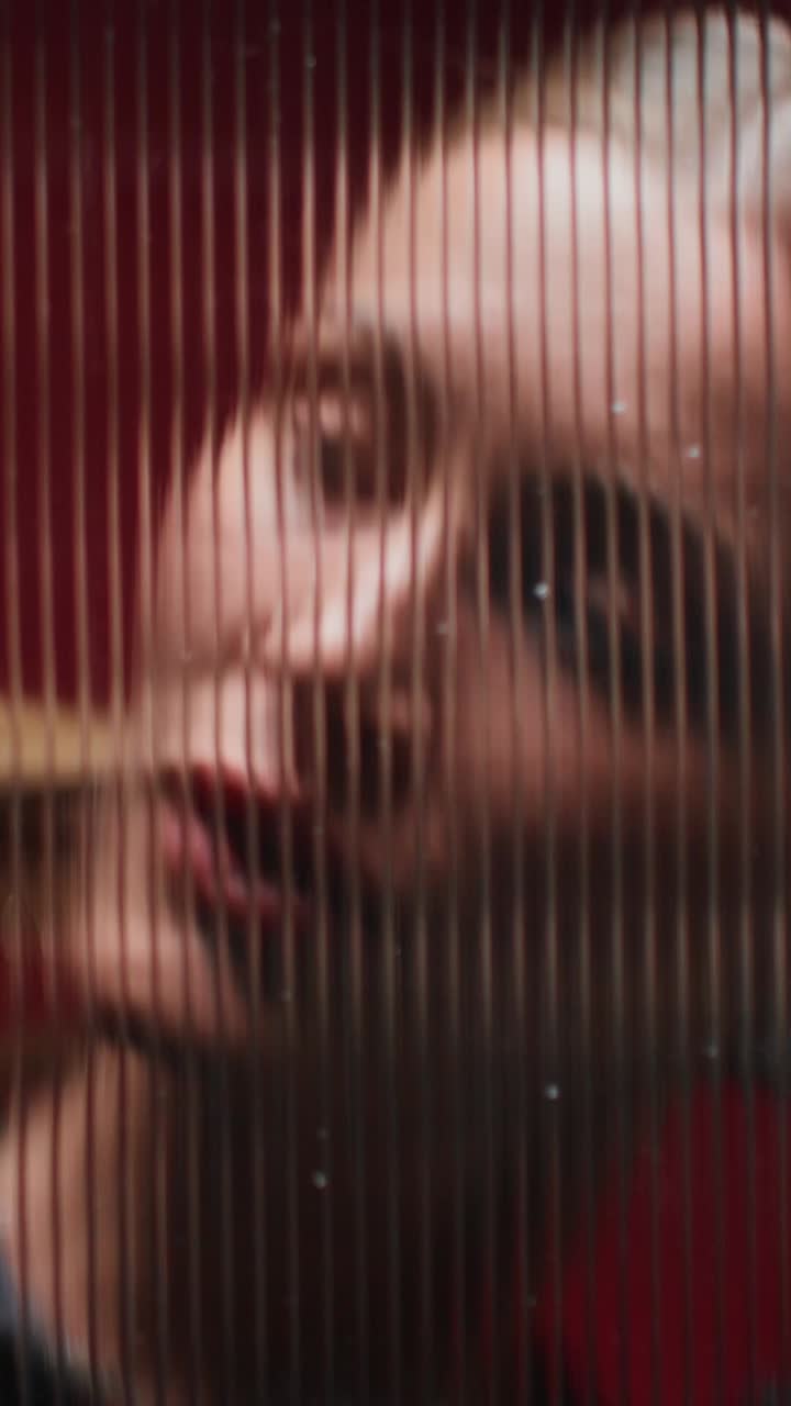 el rostro de la mujer detrás de una cuadrícula