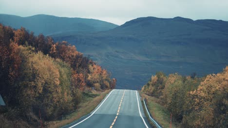 the two-lane road leading through the wide autumn valley