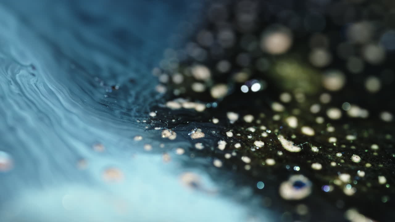 Close-up of a golden, circular substance floating in a dark liquid, macro shot