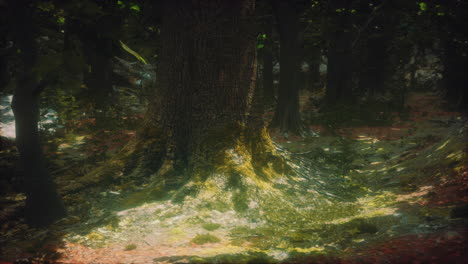 old trees with lichen and moss in green forest