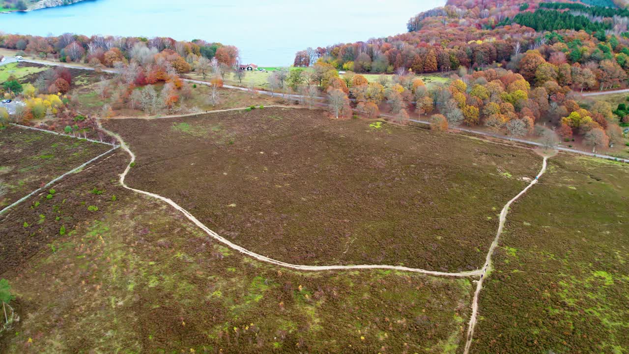 Droneudsigt over snoede vandrestier gennem vådområderne i Fjärås Bräcka naturreservat i Sverige. Naturskønt skandinavisk landskab med efterårsfarver og fredelig udendørs atmosfære