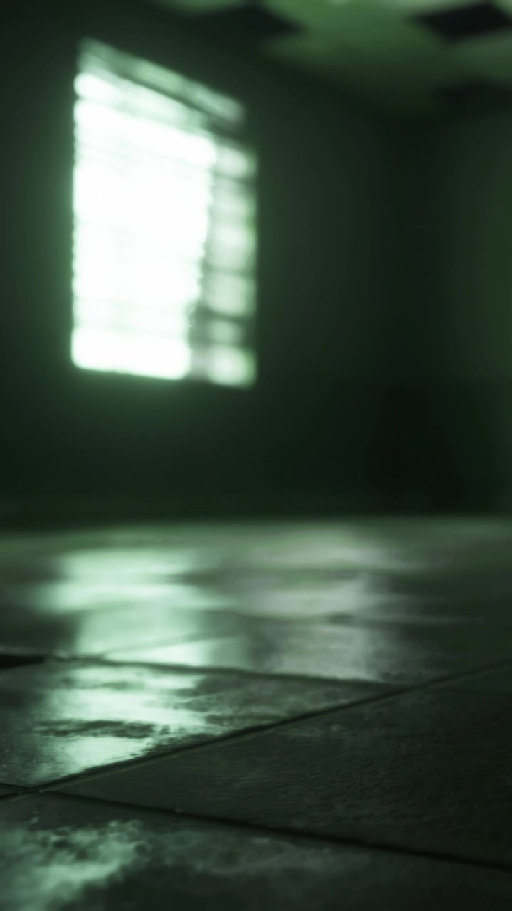 Bright light shines through a window onto the floor in an empty room