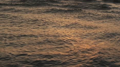 small waves reflecting the golden setting sun