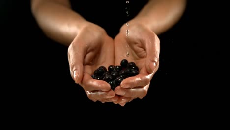 water pouring on hands with fresh blueberries 4k
