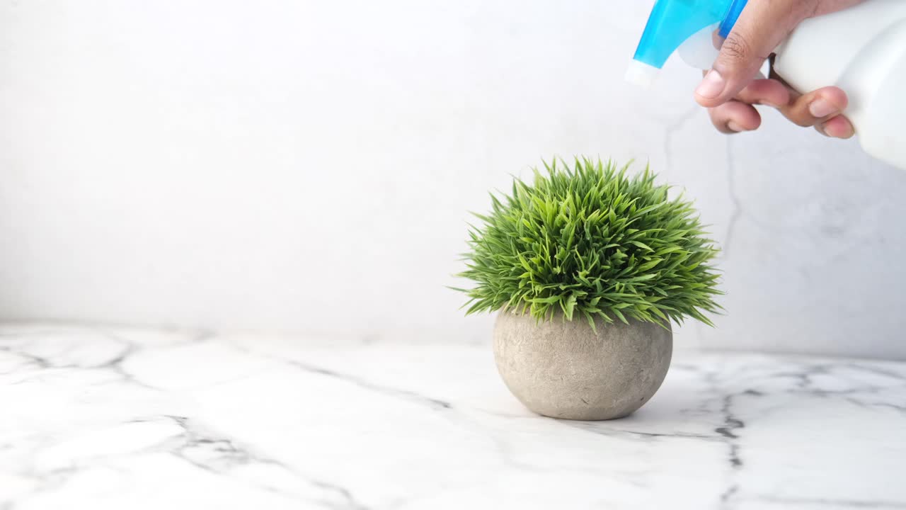 대리석 테이블 에 인공 식물 에 물 을 주고 있다