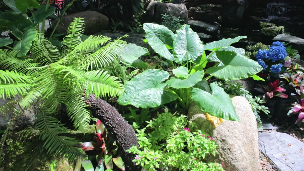 태국 의 사원 에 있는 식물원 에 있는 푸른 식물 들