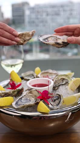 fresh oysters with a view