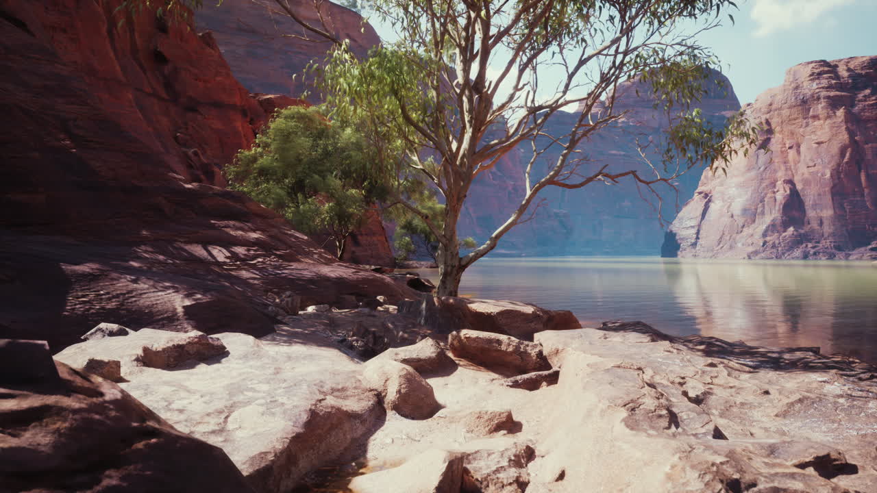 cañón de roca roja y paisaje fluvial