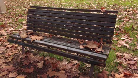 Empty-bench-with-dead-leaves-on-a-park-of-Rome-called-villa-Borghese