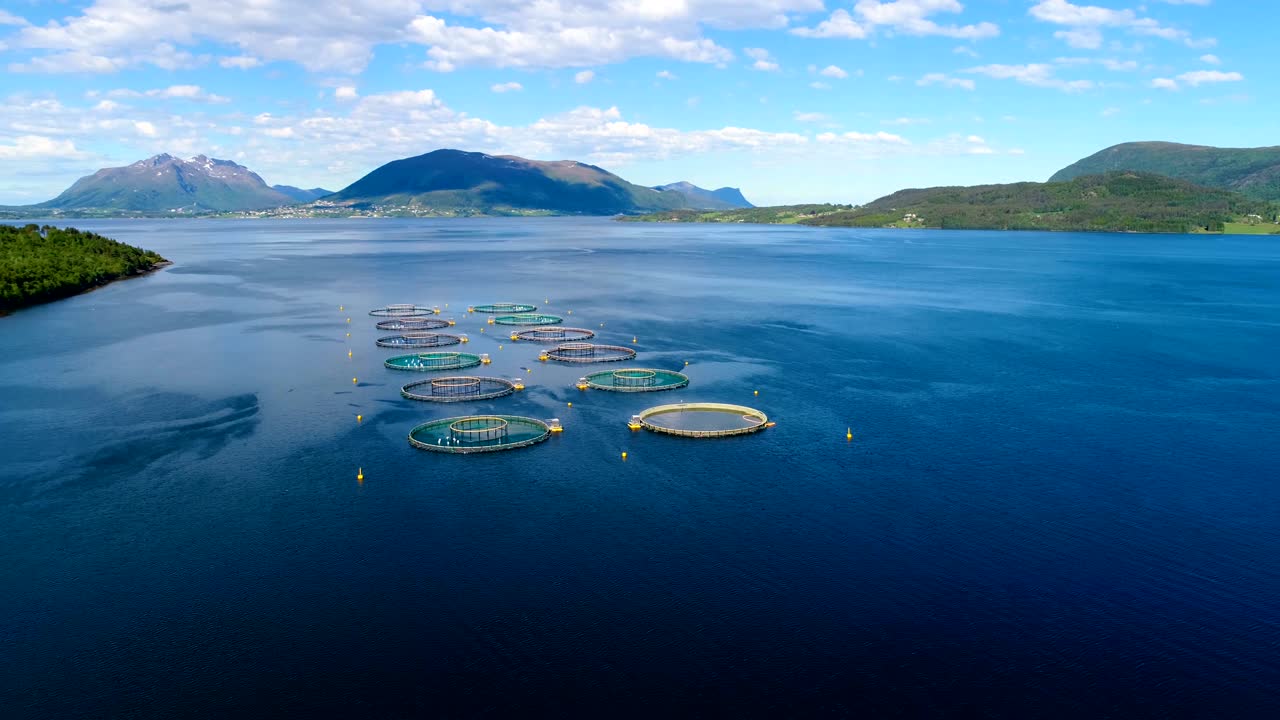 노르웨이에서 연어  ⁇ 시를 하는 공중 촬영